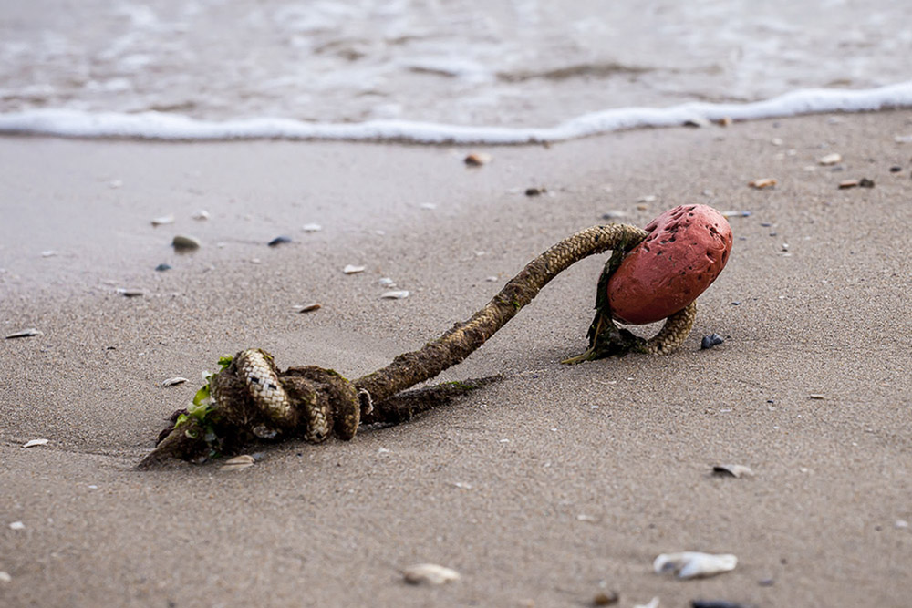 Shipwrecked